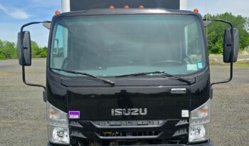 
									Isuzu NQR HD 2019 full								